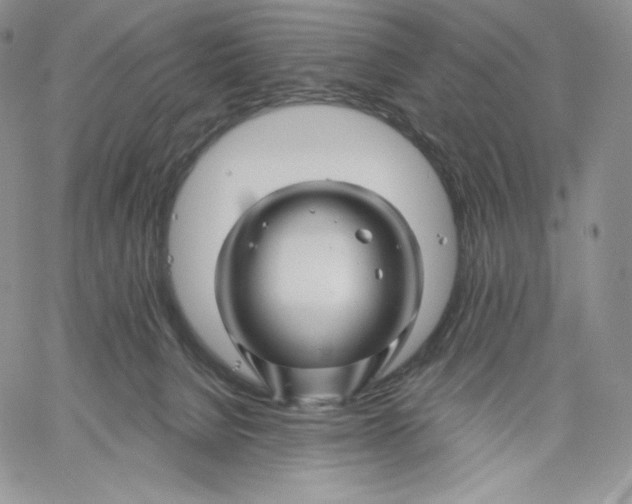 X0000060580080200511241352