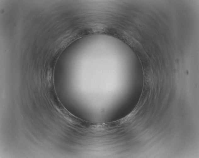 X0000060580082200511241352