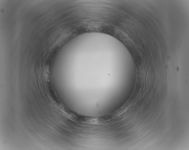 X0000060580083200511241352