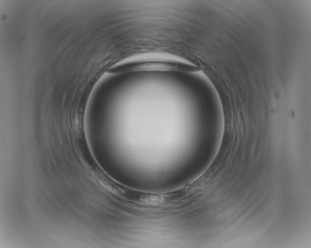 X0000060580084200511241352