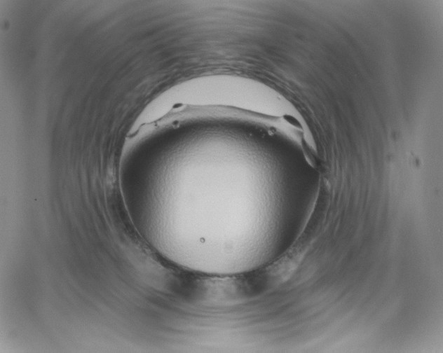 X0000060580085200511241352