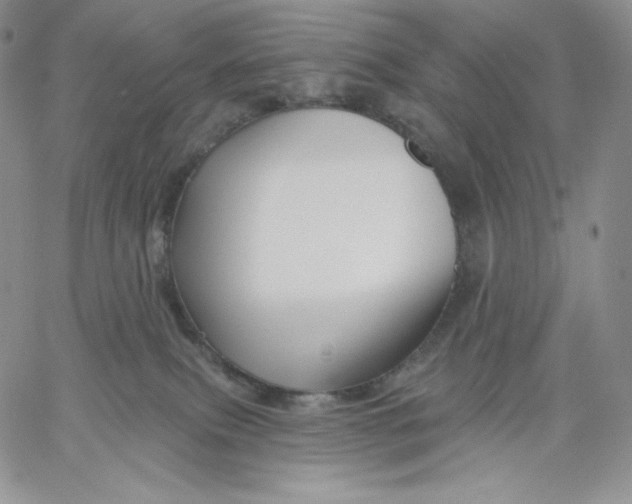 X0000060580087200511241352