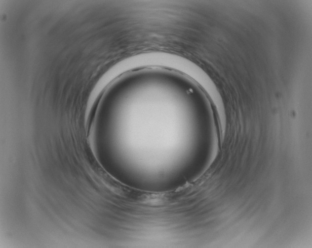 X0000060580088200511241352