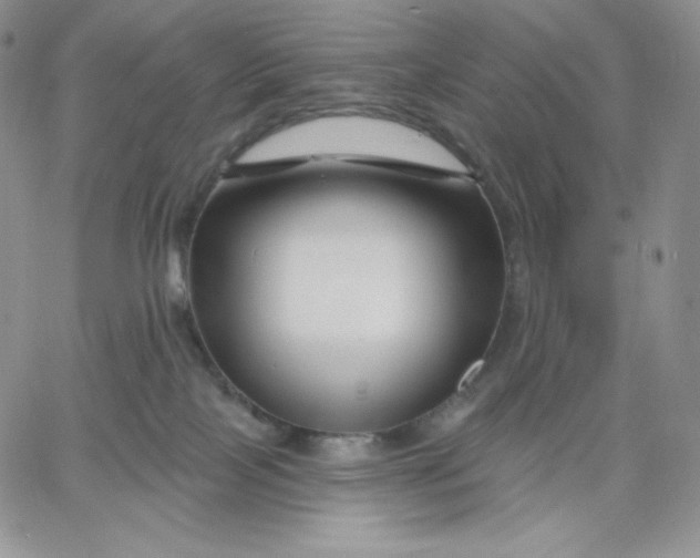 X0000060580089200511241352