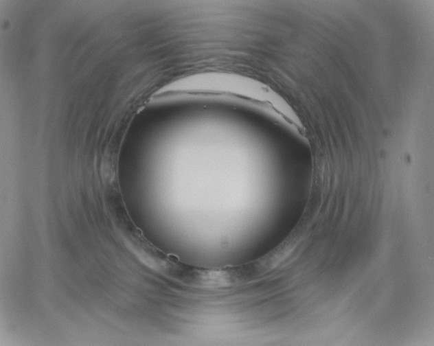 X0000060580091200511241352