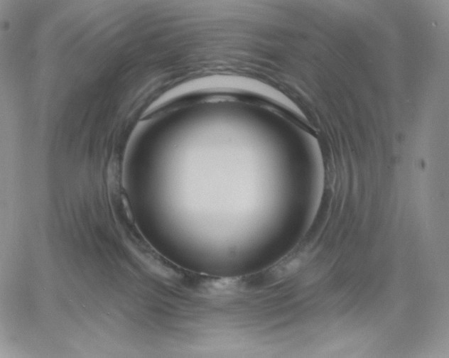 X0000060580092200511241352