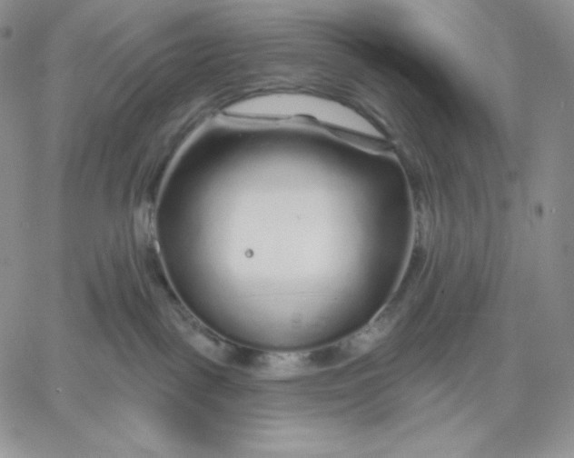 X0000060580093200511241352