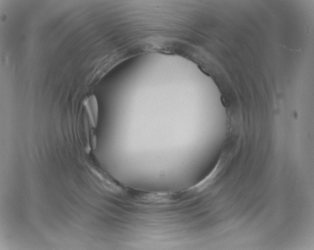 X0000060580094200511241352