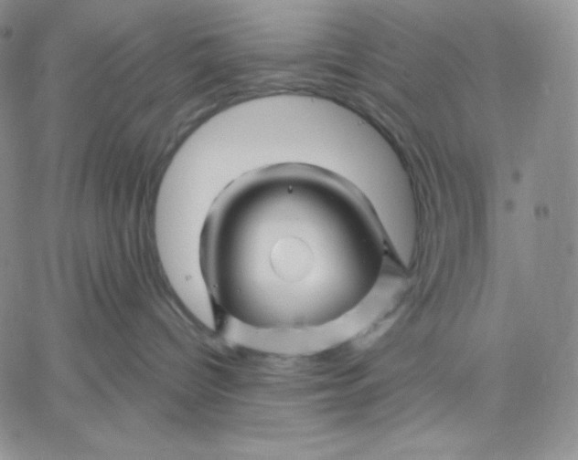 X0000060580096200511241352