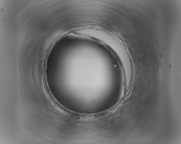 X0000060580097200511241351