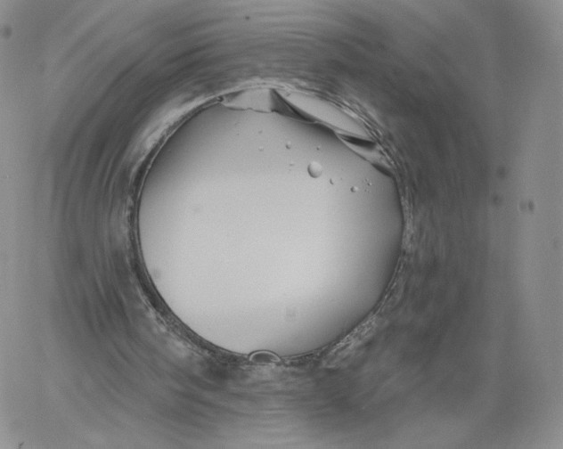 X0000060580098200511241351