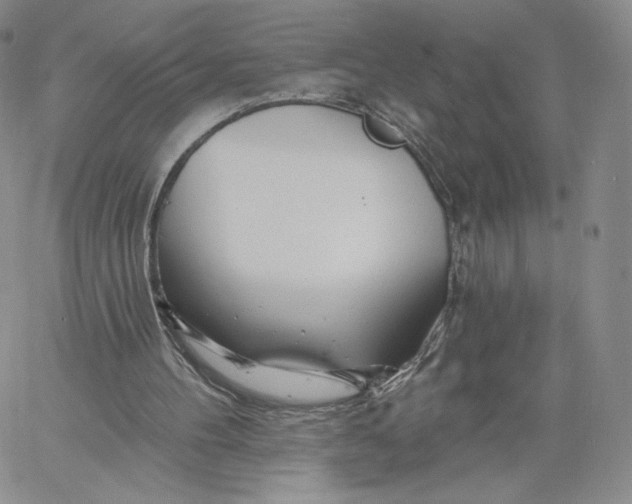 X0000060580100200511241351