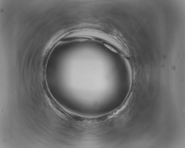 X0000060580101200511241351