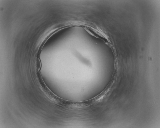 X0000060580103200511241351