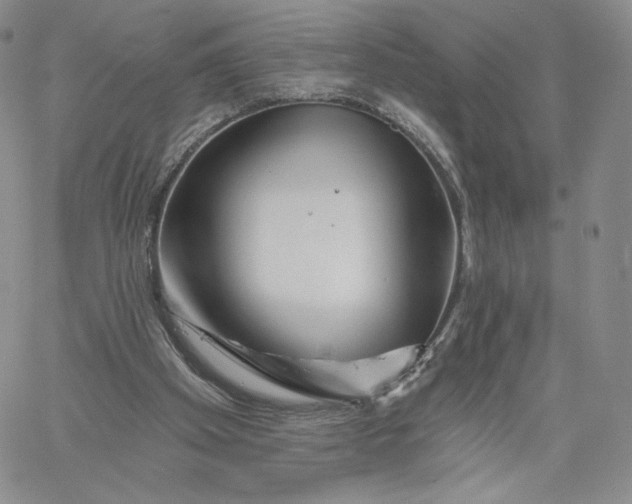 X0000060580105200511241351