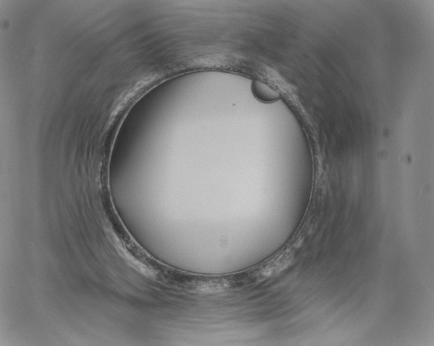 X0000060580106200511241351