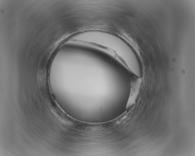 X0000060580107200511241351