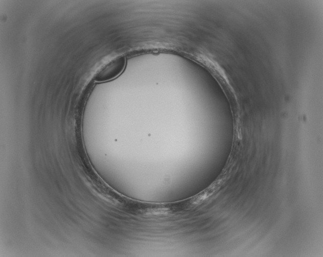 X0000060580108200511241351