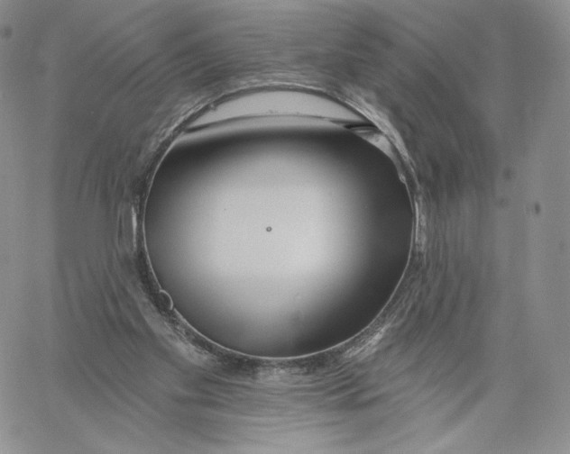 X0000060580109200511241351