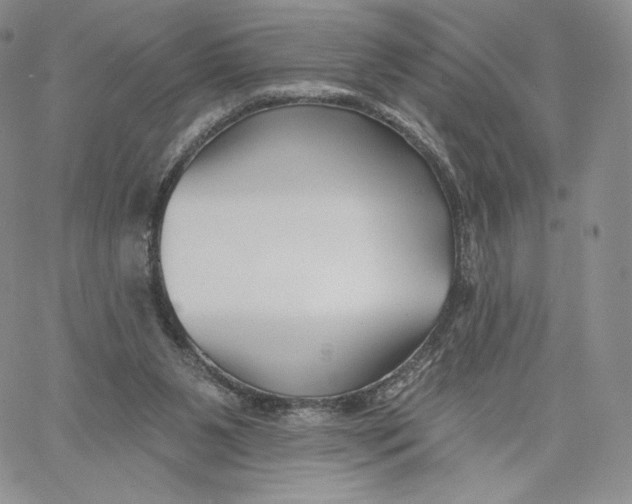 X0000060580111200511241351