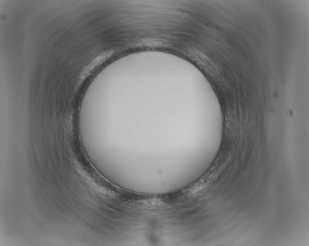 X0000060580112200511241351