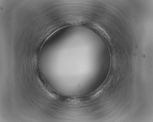 X0000060580113200511241351