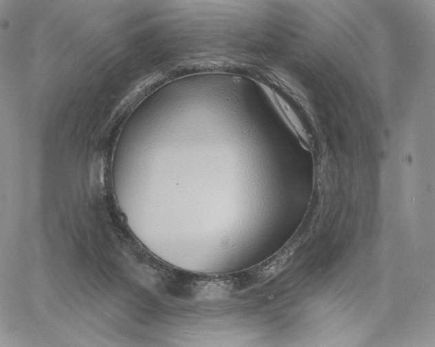 X0000060580115200511241351