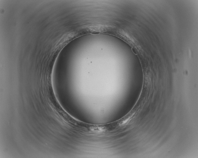 X0000060580117200511241351