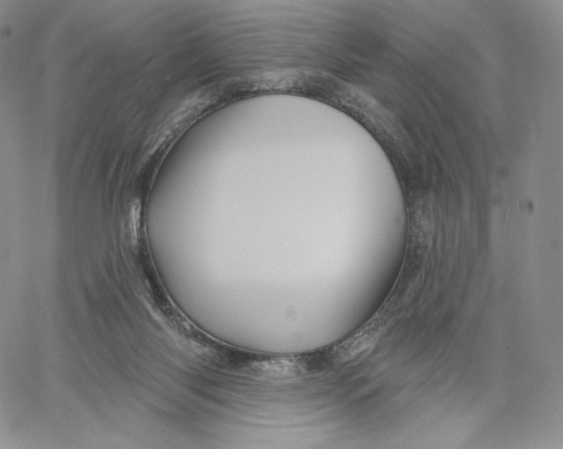 X0000060580118200511241351