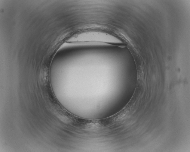 X0000060580119200511241351