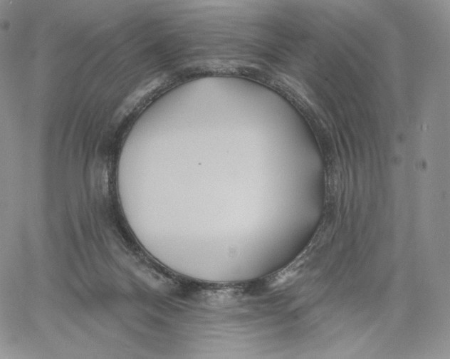 X0000060580120200511241351