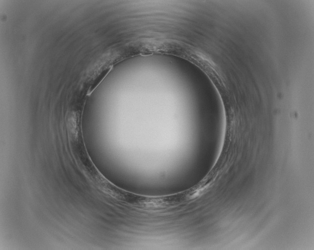 X0000060580121200511241351