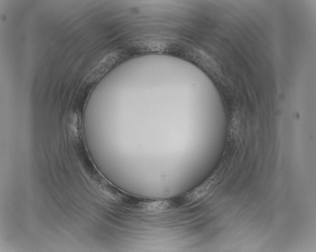 X0000060580122200511241351