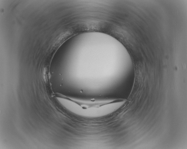 X0000060580123200511241351