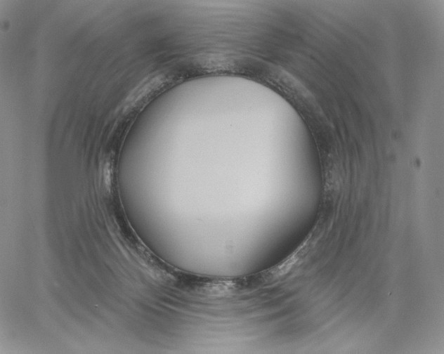 X0000060580124200511241351