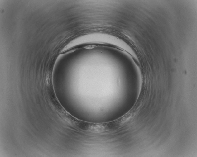 X0000060580125200511241351