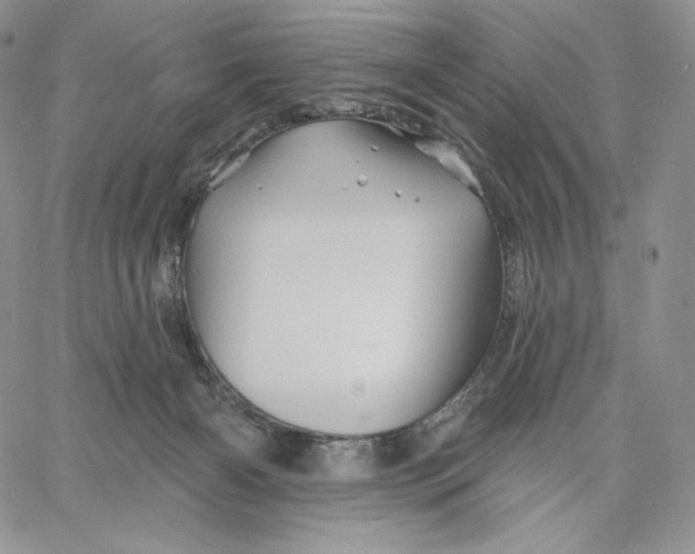 X0000060580126200511241351