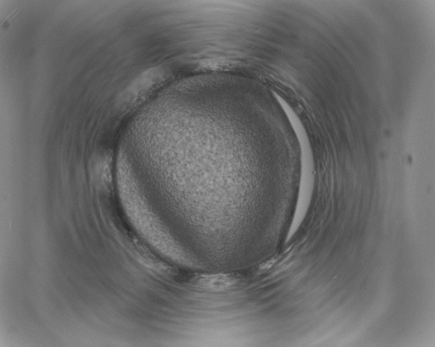 X0000060580127200511241351