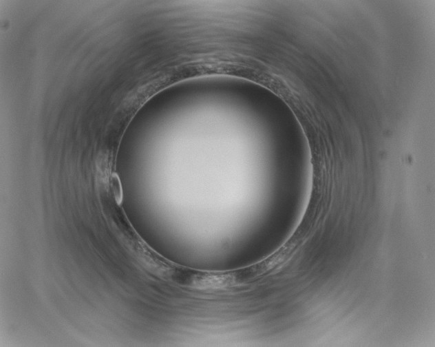 X0000060580129200511241351