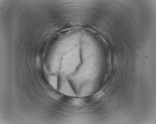 X0000060580130200511241351