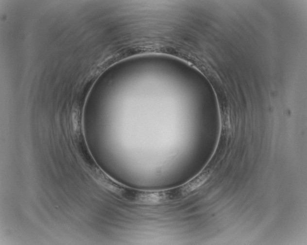 X0000060580131200511241351