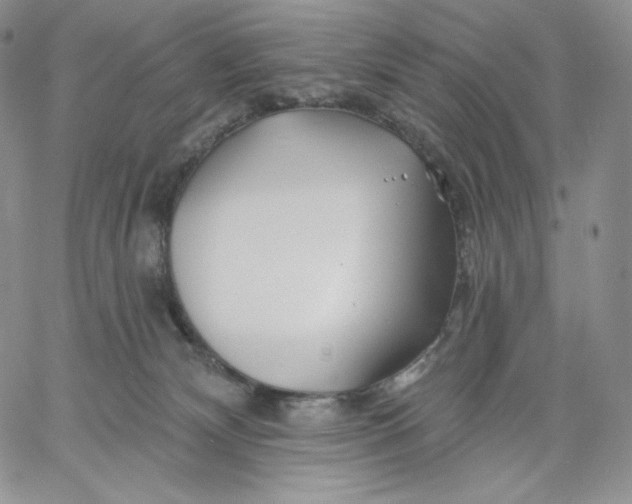 X0000060580132200511241351