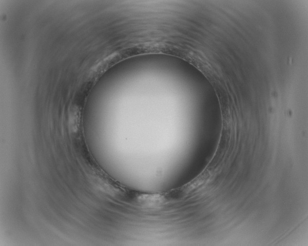 X0000060580133200511241351