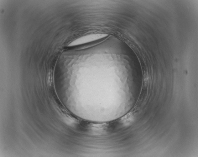 X0000060580134200511241351