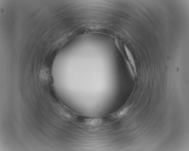 X0000060580135200511241351