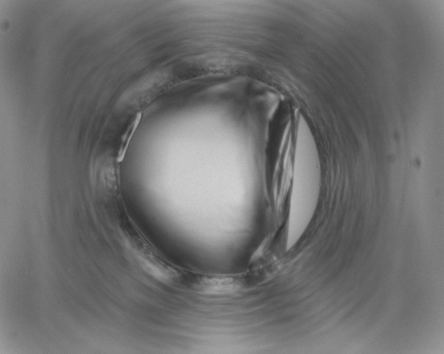 X0000060580137200511241350