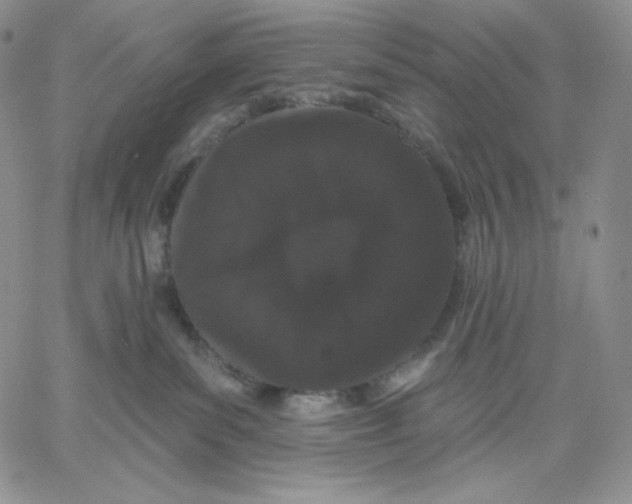 X0000060580139200511241350