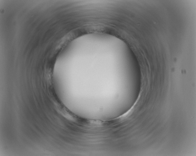 X0000060580144200511241350