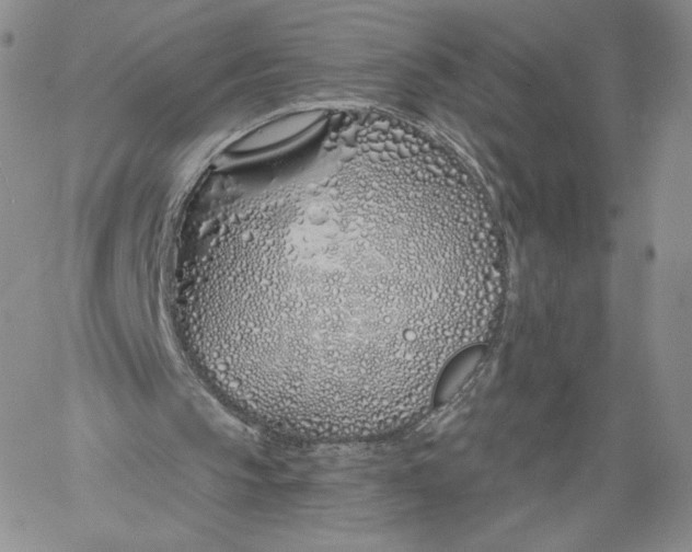 X0000060580145200511241350