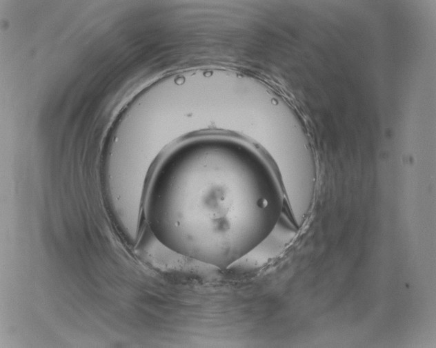 X0000060580146200511241350